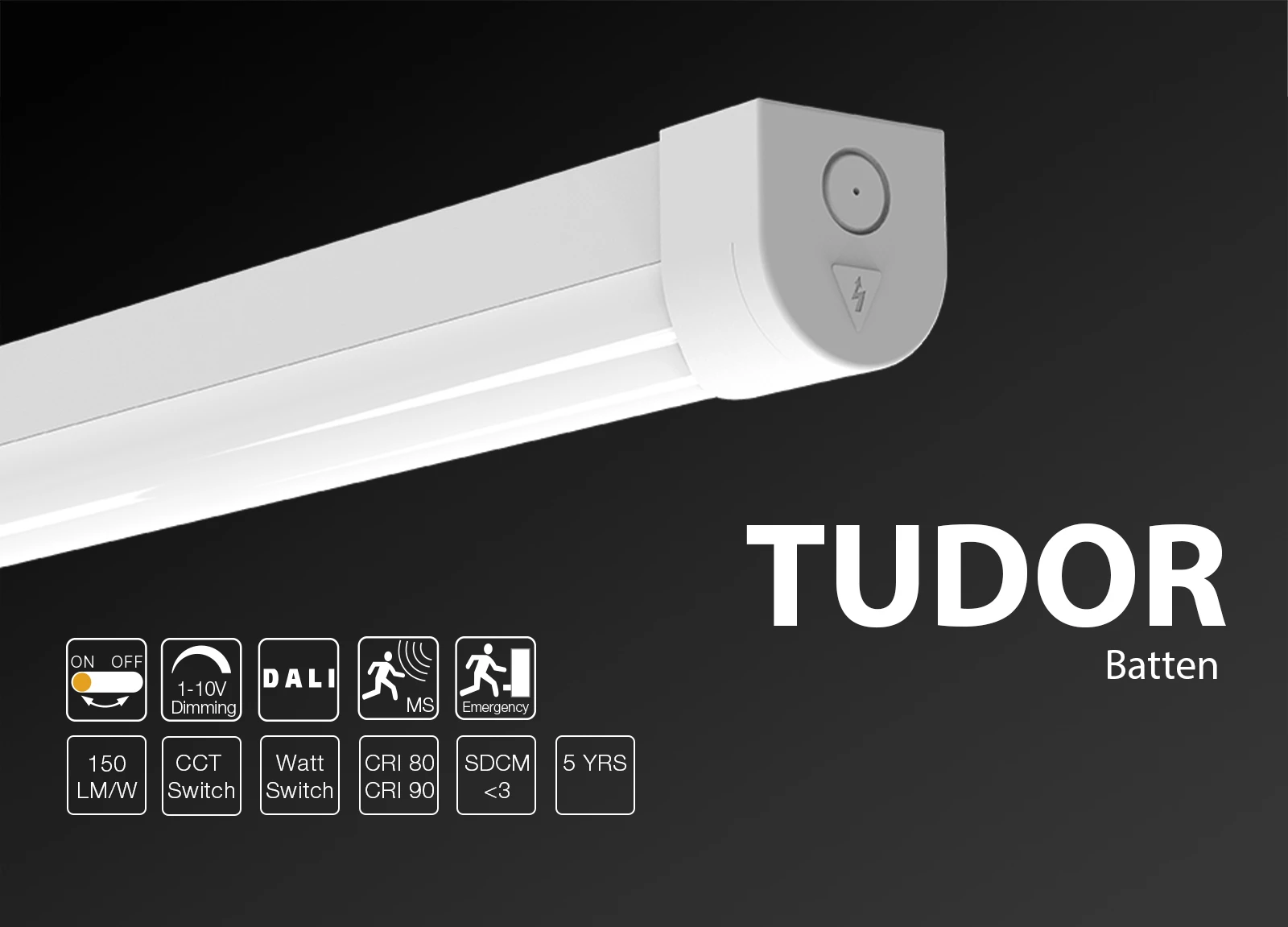 Tudor01